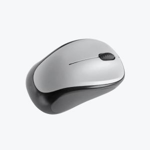 Computer Mouse1