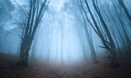 blog-post-carousel-1