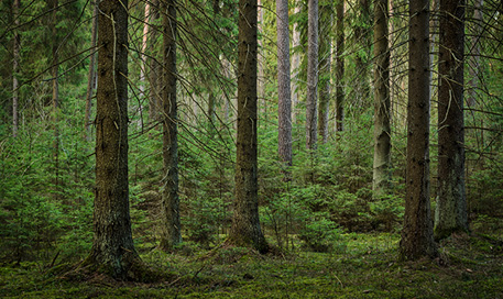 blog-post-carousel-2