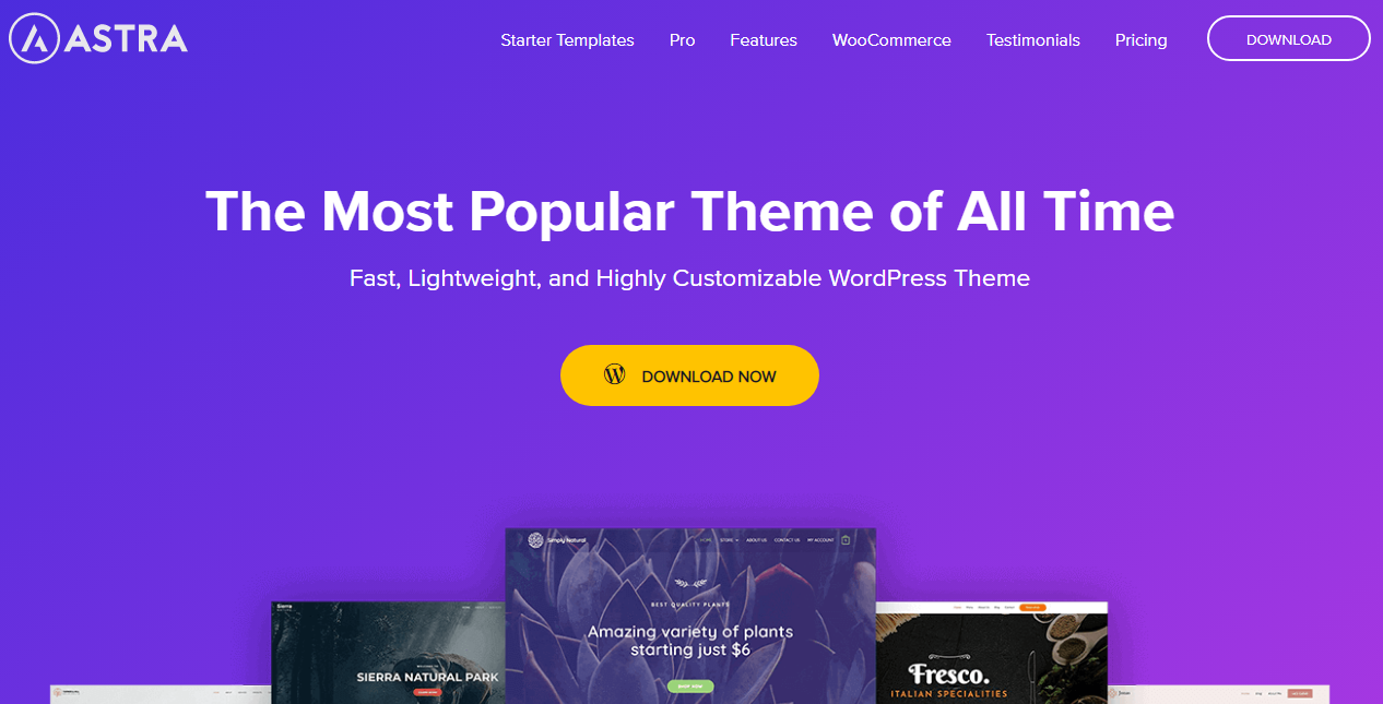 Astra Theme