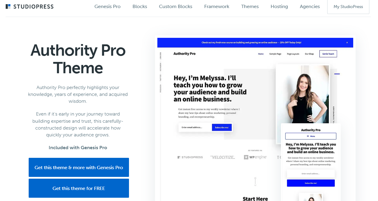 Authority Pro Theme
