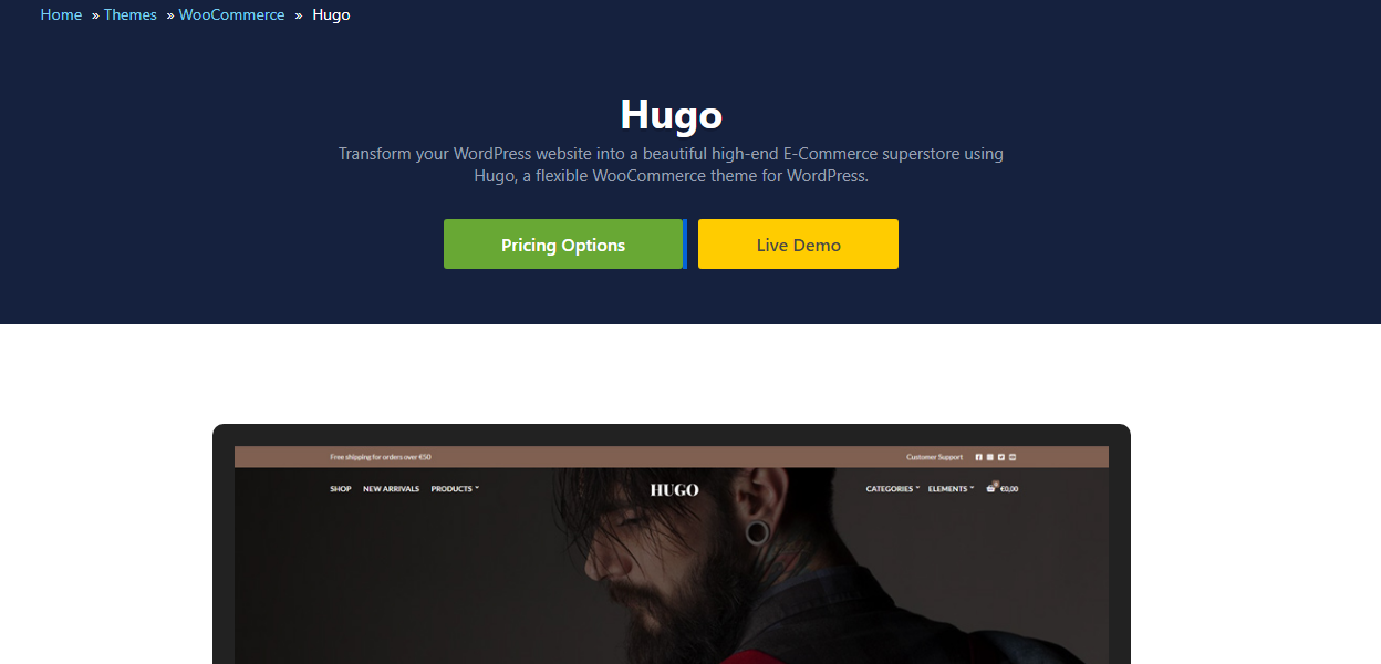 Hugo Theme