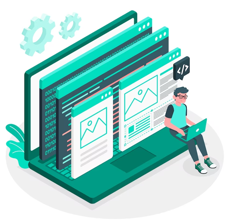 Hiring a Professional Web Developer