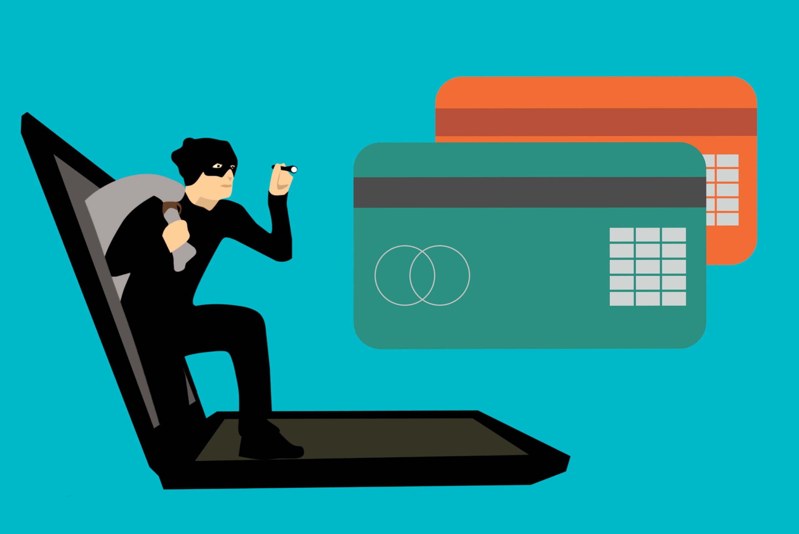 ECommerce frauds