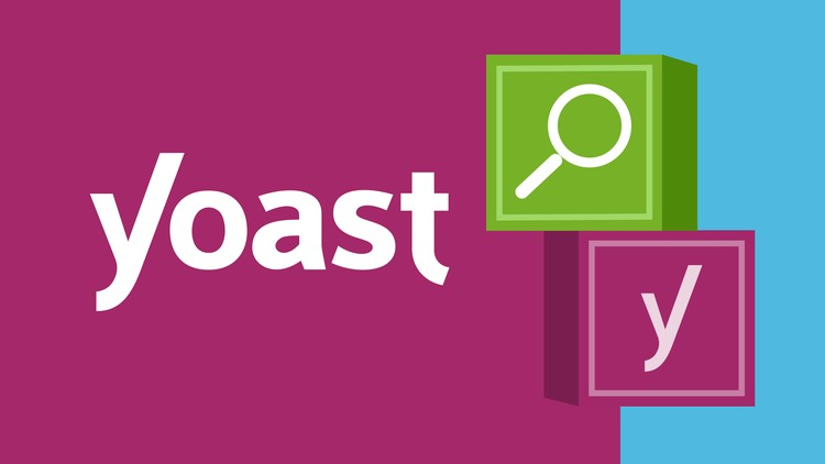 Top 3 WordPress Plugins for Your Website in 2024