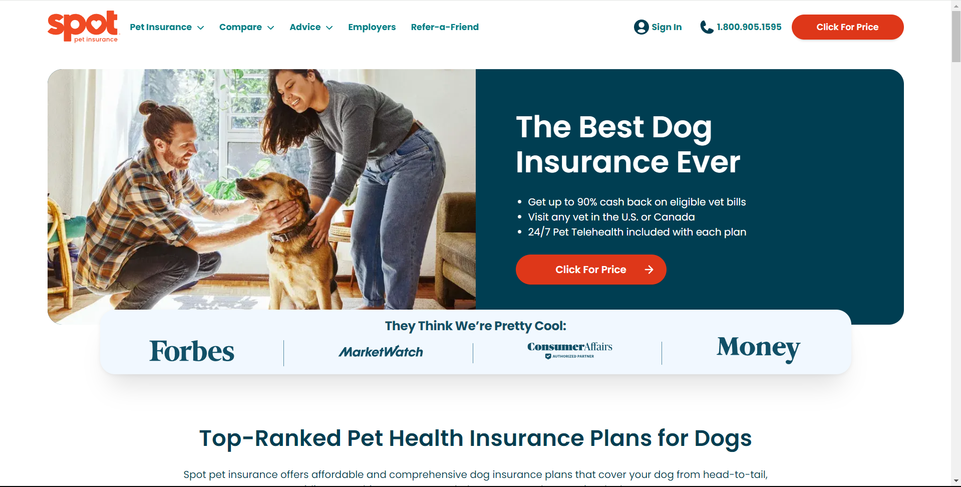Dog Insurance