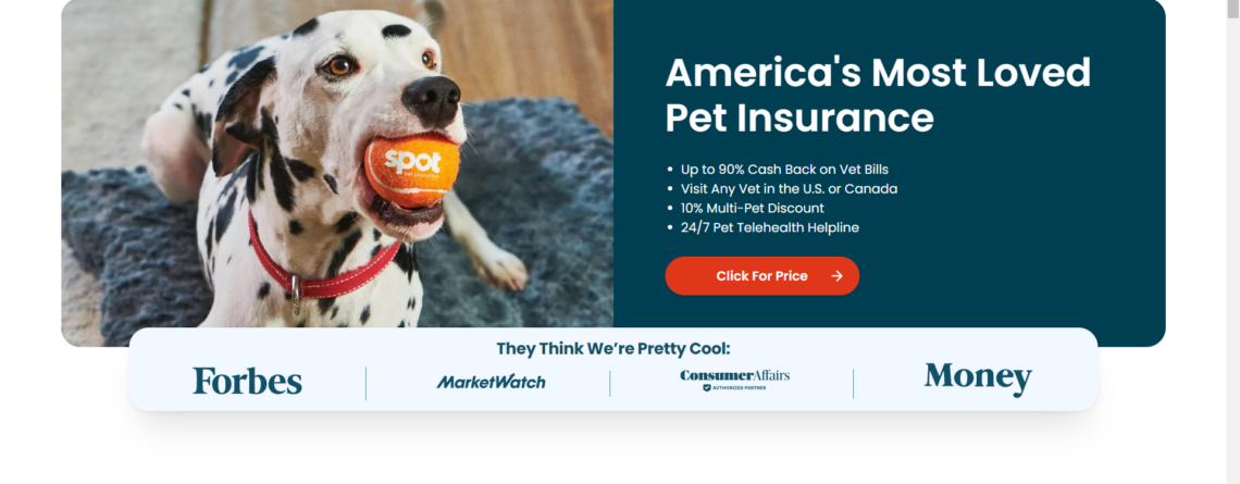 Dog Insurance