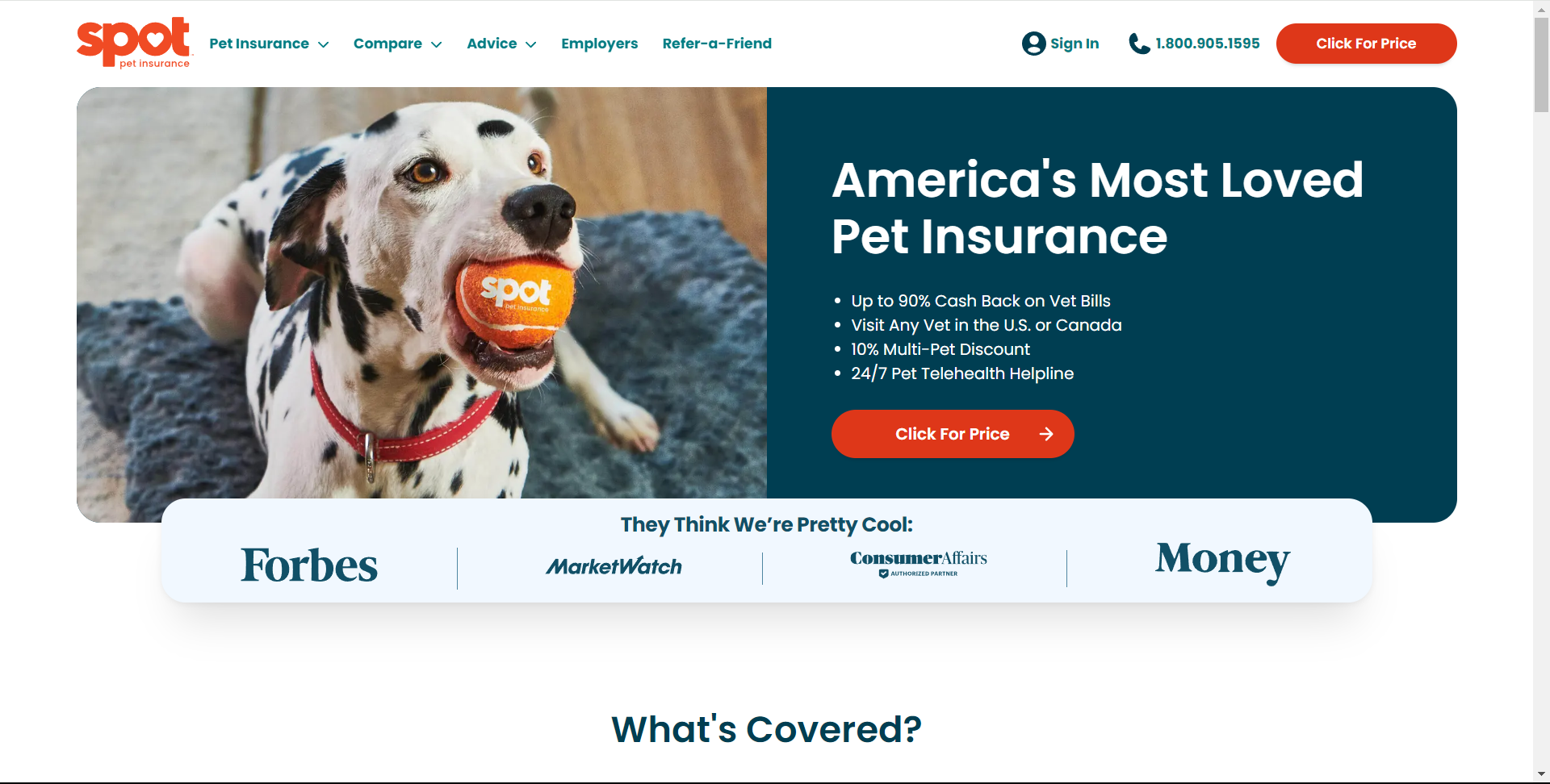 Dog Insurance