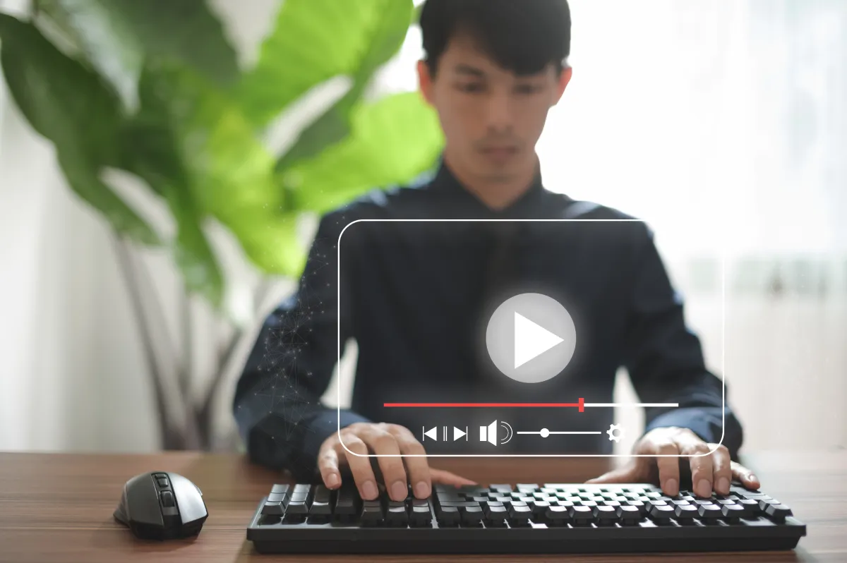Free Stock Videos