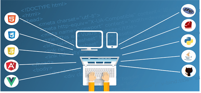 Custom Development Vs Theme Based: Which One is Right for You