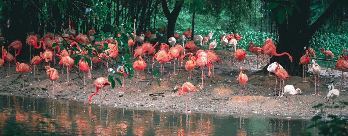 Best US Zoos