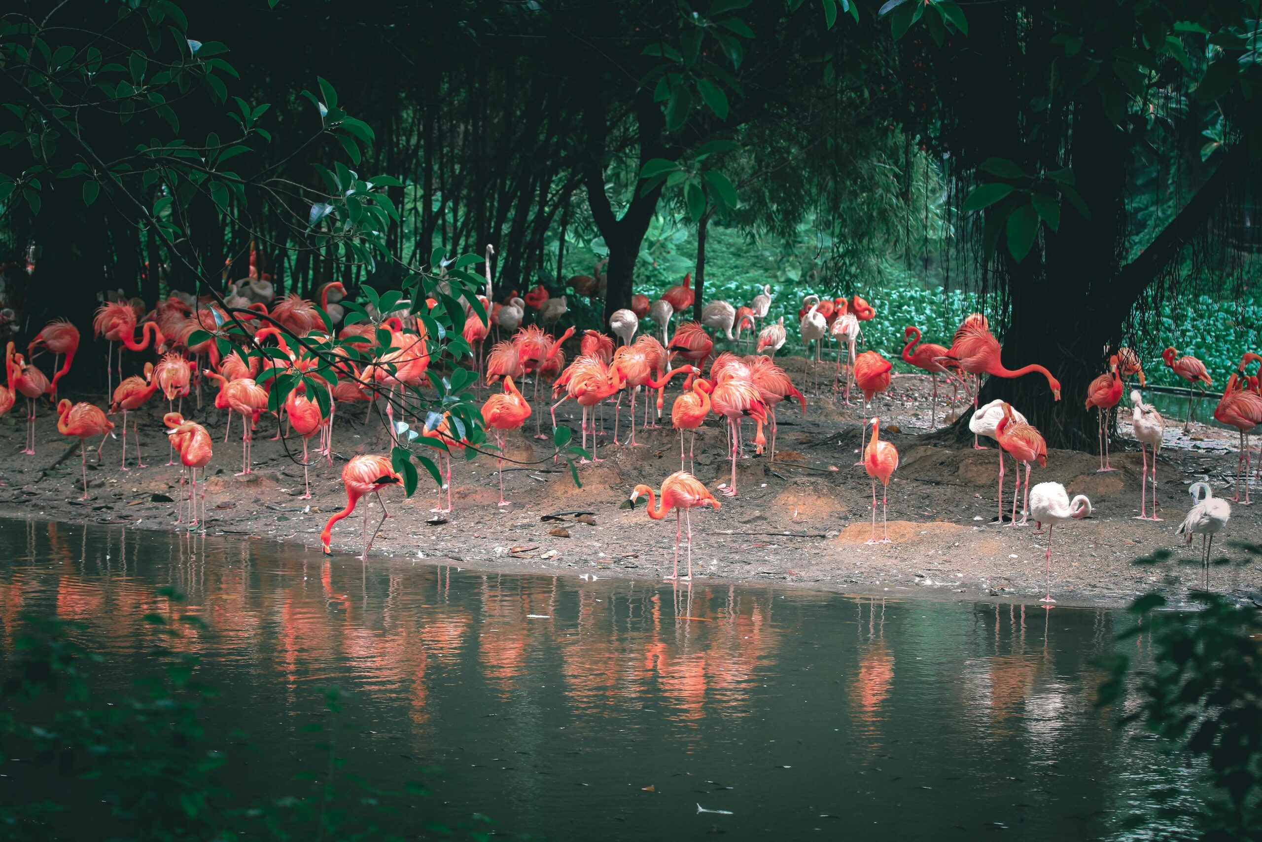 Best US Zoos
