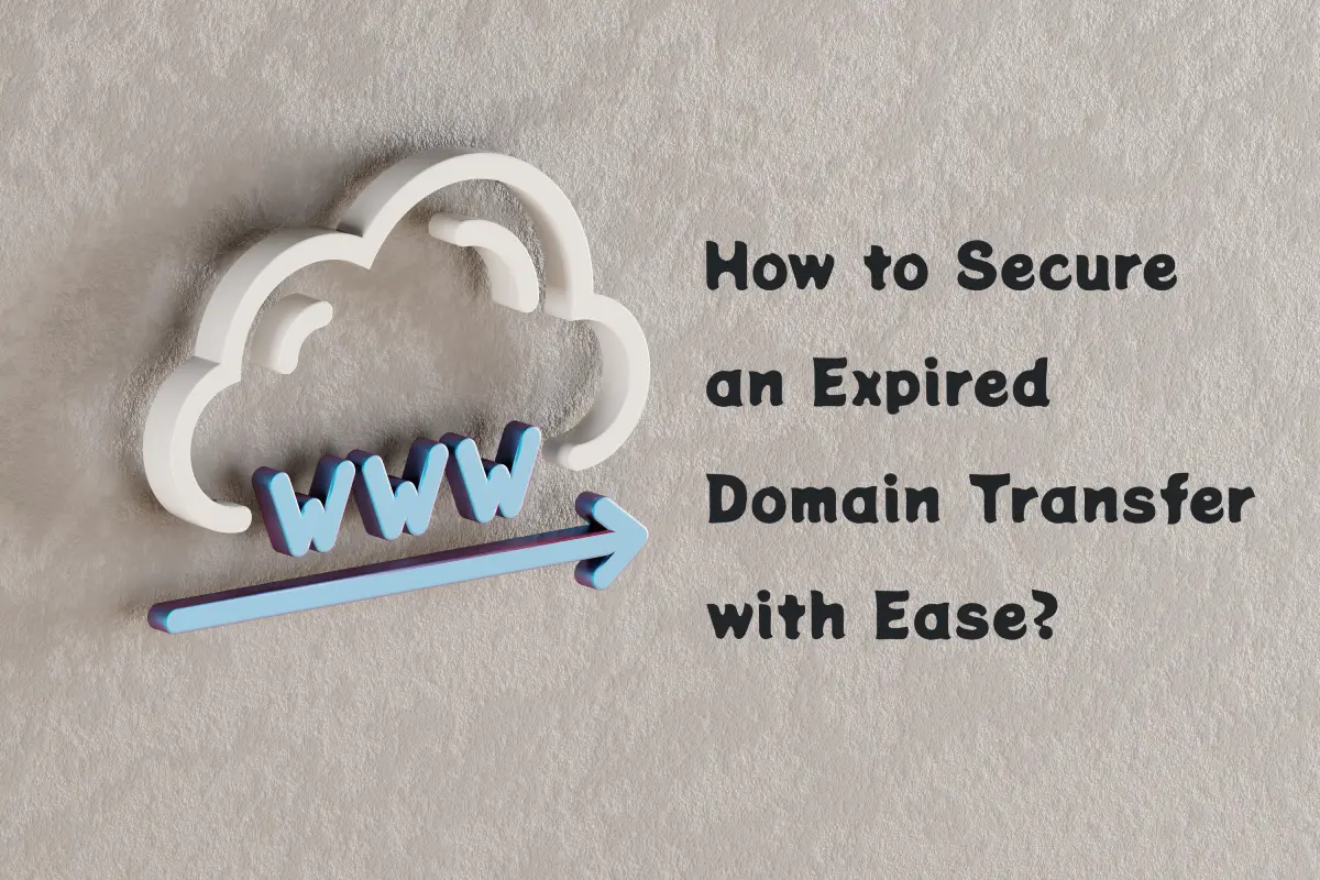 How to Secure an Expired Domain Transfer with Ease