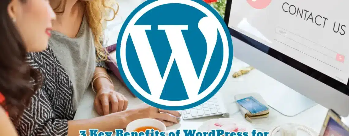 3 Key Benefits of WordPress for Small Business Owners