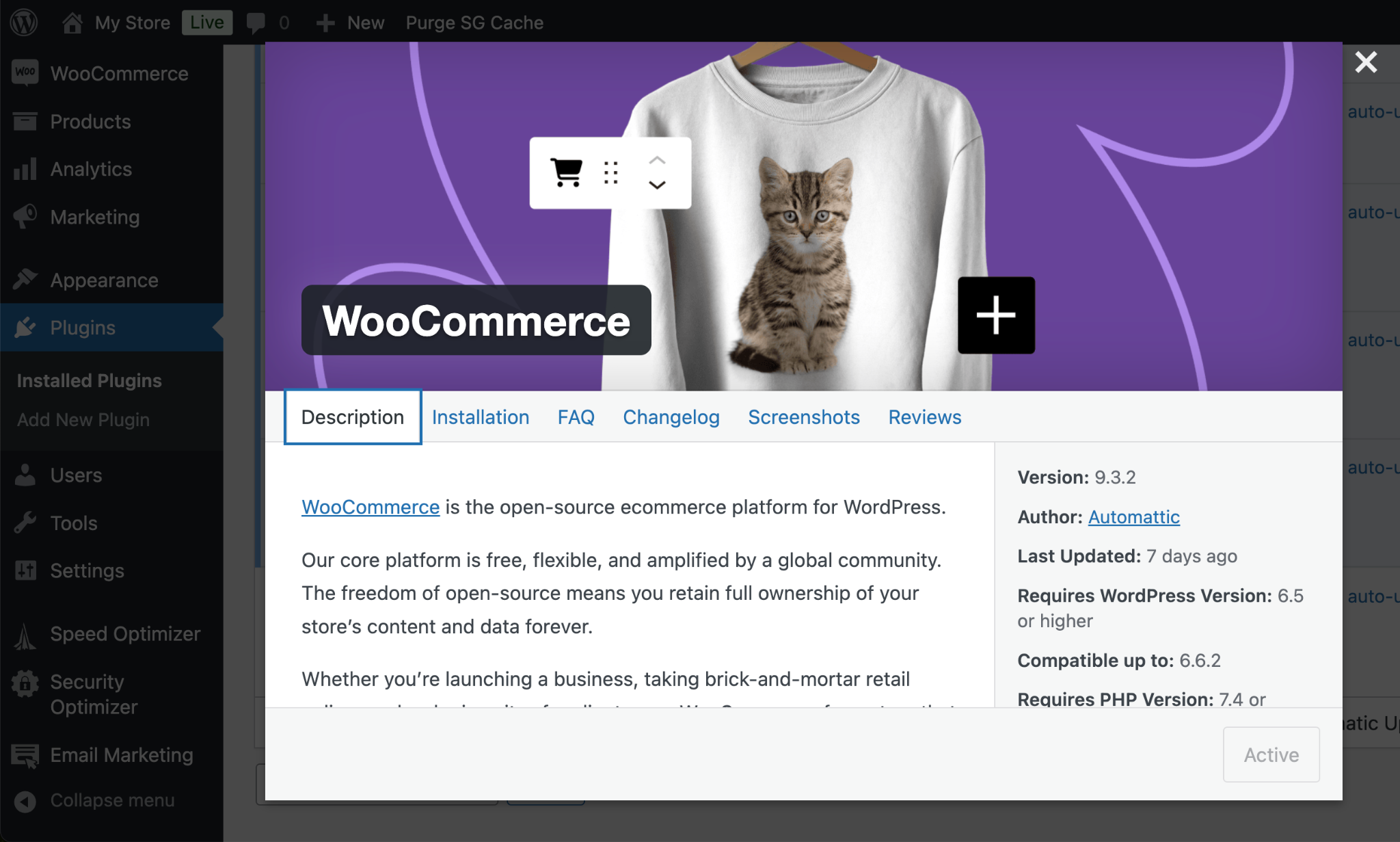 Monetization Options in WordPress