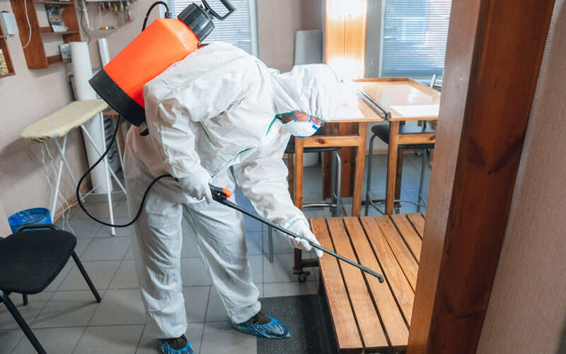 Why Digital Transformation Is Critical for Pest Control Companies