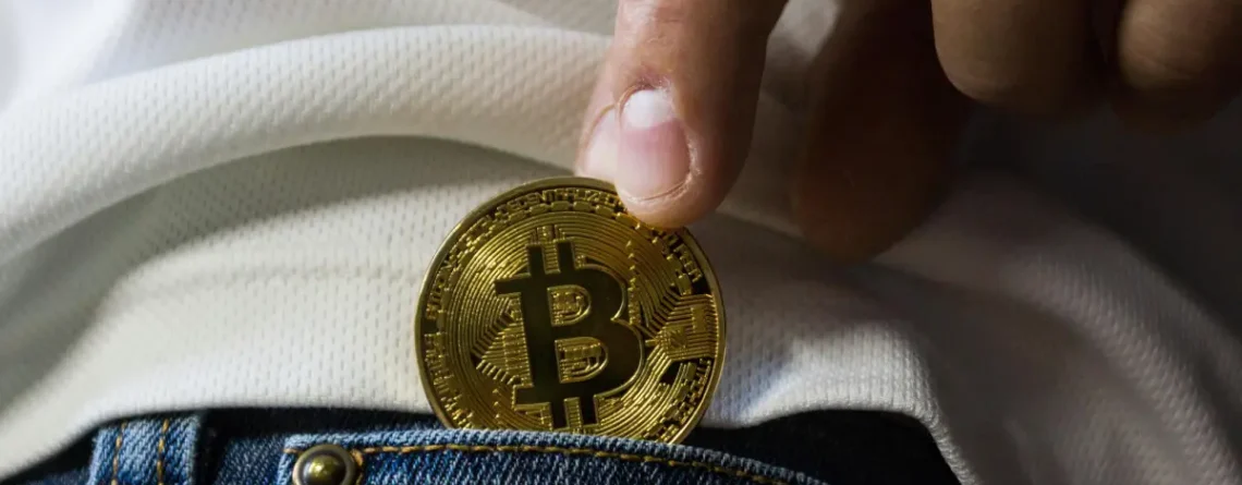 How WordPress Websites Can Monetize with Bitcoin