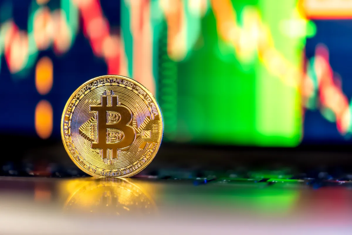 The Role of Real-Time BTC to INR Tracking in Modern Website Design