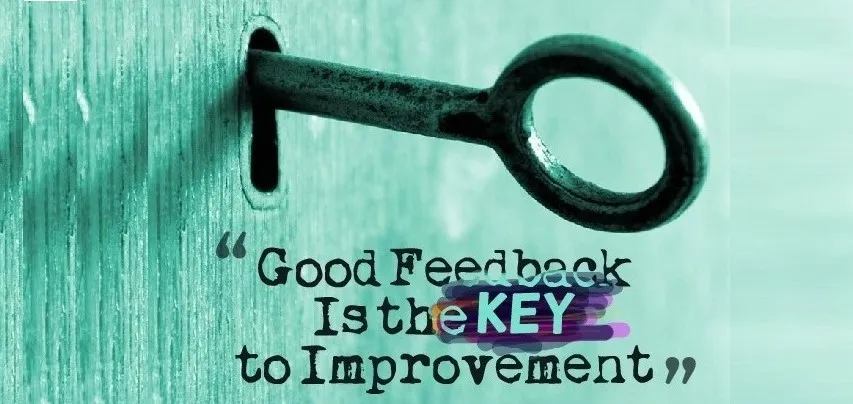 Seek Feedback and Refine