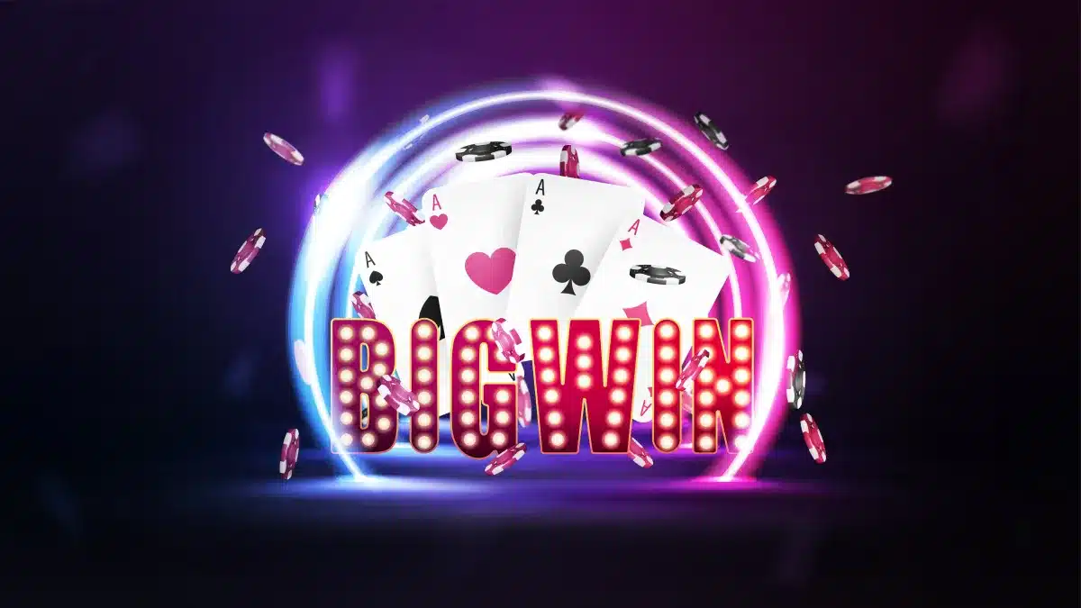 Bizzo Casino's popular providers - a guide to the top studios