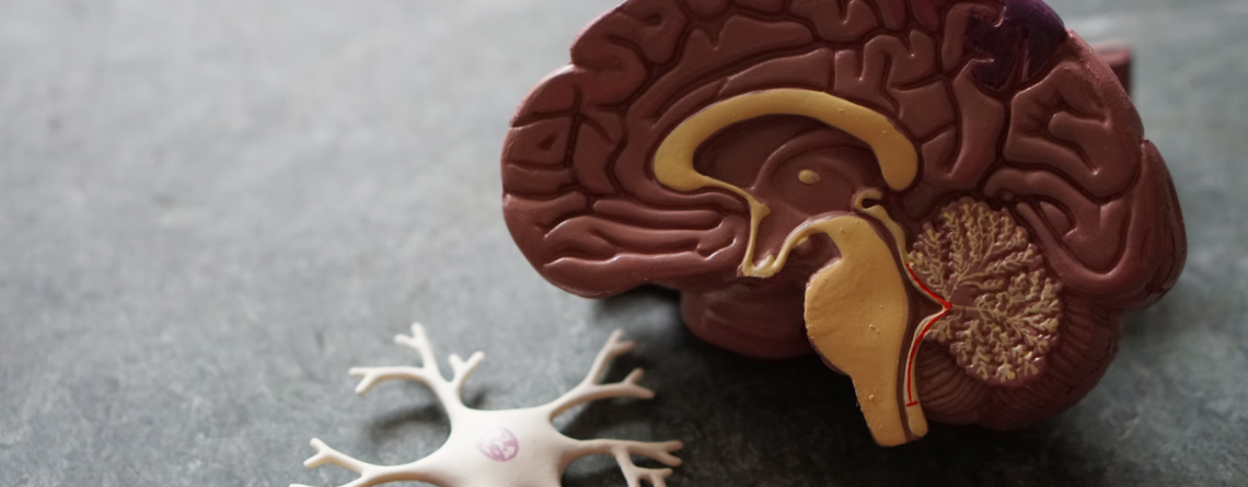 Traumatic brain injury recovery Toronto