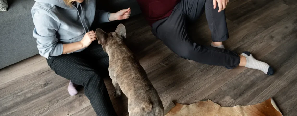 Kansas City Dog Attacks: Legal Rights and Personal Injury Lawyer Support