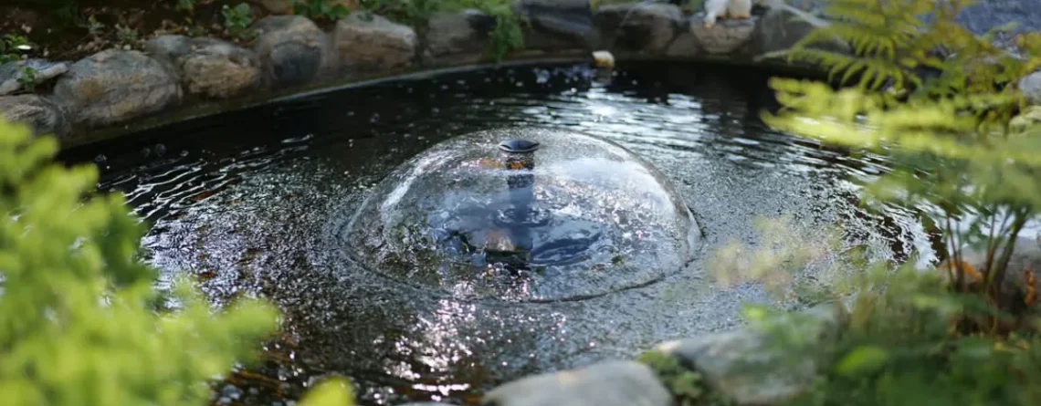 7 Garden Features You Can Create Using Solar-Powered Pumps