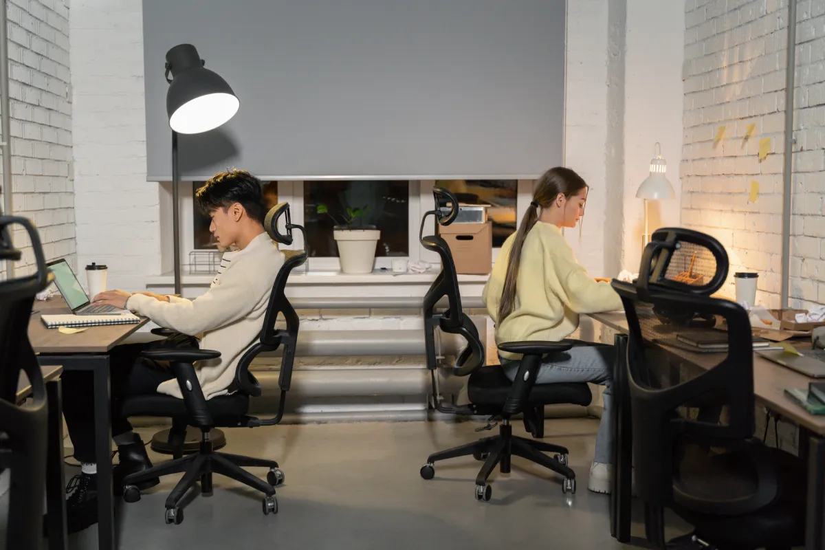 Choosing Task Chairs and Executive Chairs from the Modern Office Furniture Range