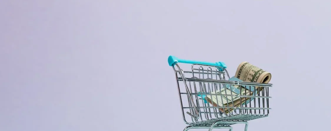 Loyalty Is the Best Marketing Tool: A Closer Look into Subscription-Like Models