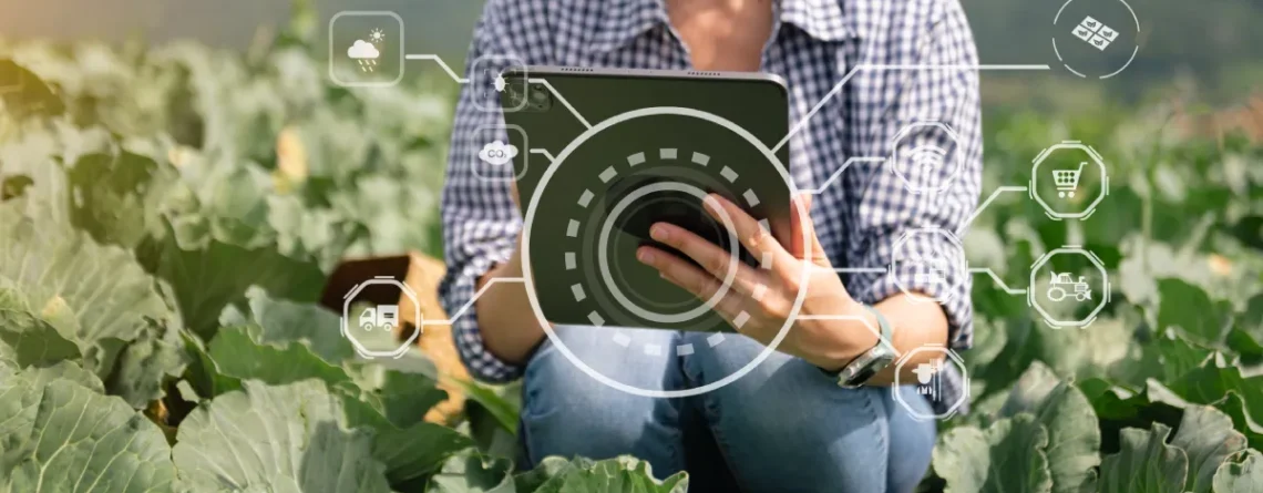 Cultivating Clarity: How CTRM Software Integration Strengthens Canada’s Agriculture Value Chain