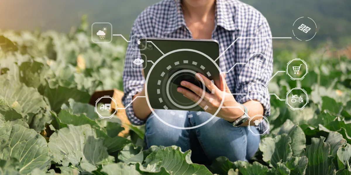 Cultivating Clarity: How CTRM Software Integration Strengthens Canada’s Agriculture Value Chain