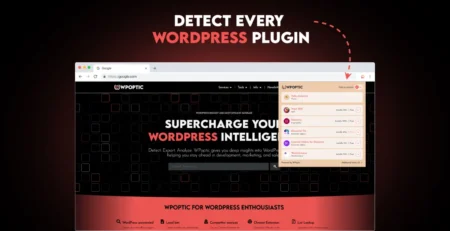 How WPoptic is Revolutionizing the Way We Understand WordPress Websites