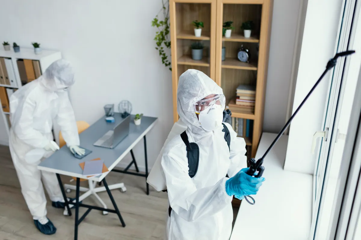 When Professional Pest Intervention Becomes Essential
