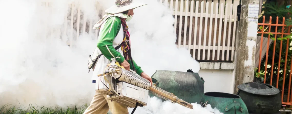 Seasonal Pest Control Strategies Every Homeowner Should Know