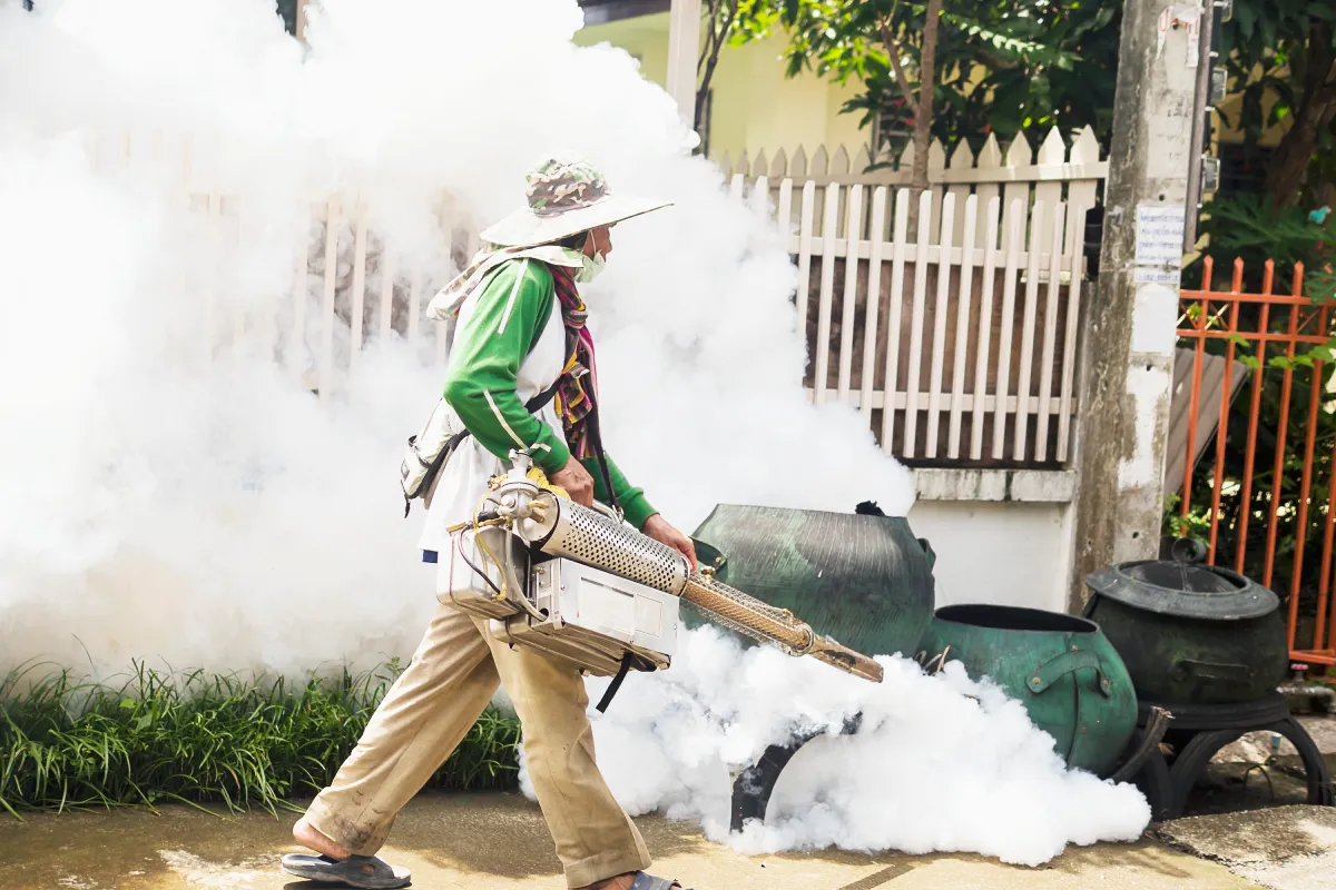 Seasonal Pest Control Strategies Every Homeowner Should Know