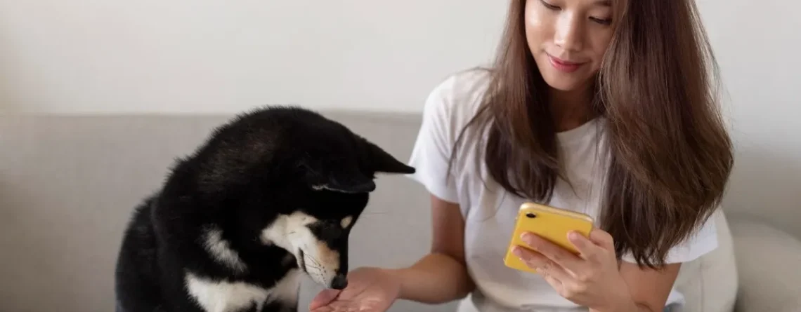 Why Dog Training Apps Like PawChamp Are Changing How We Raise Pets in 2025