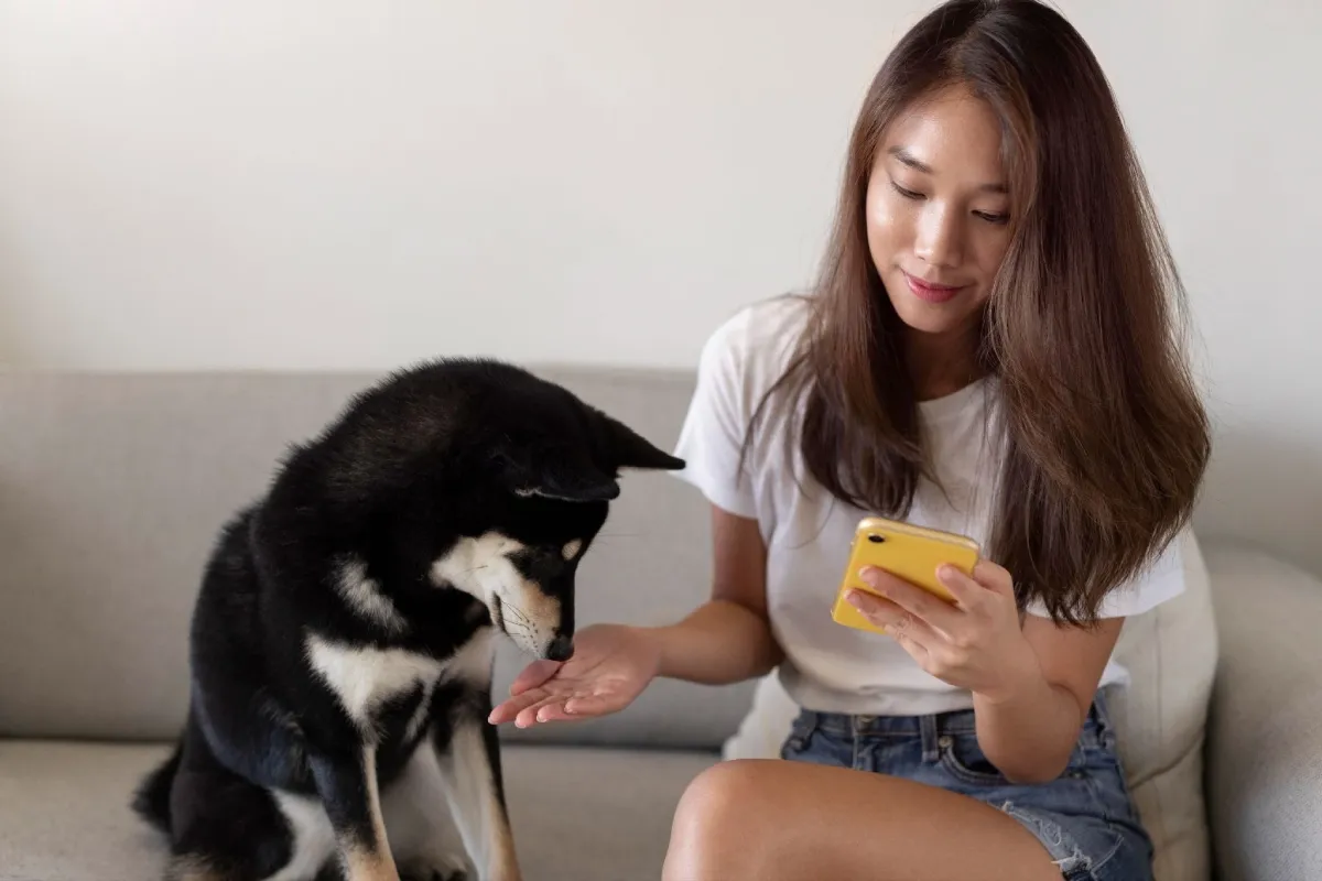 Why Dog Training Apps Like PawChamp Are Changing How We Raise Pets in 2025
