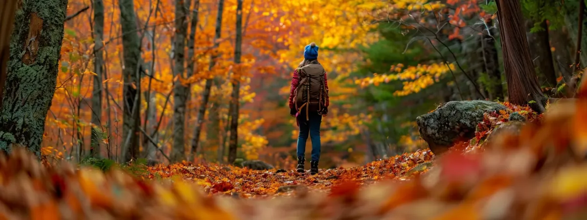 Understanding New Hampshire's Climate and Weather Patterns
