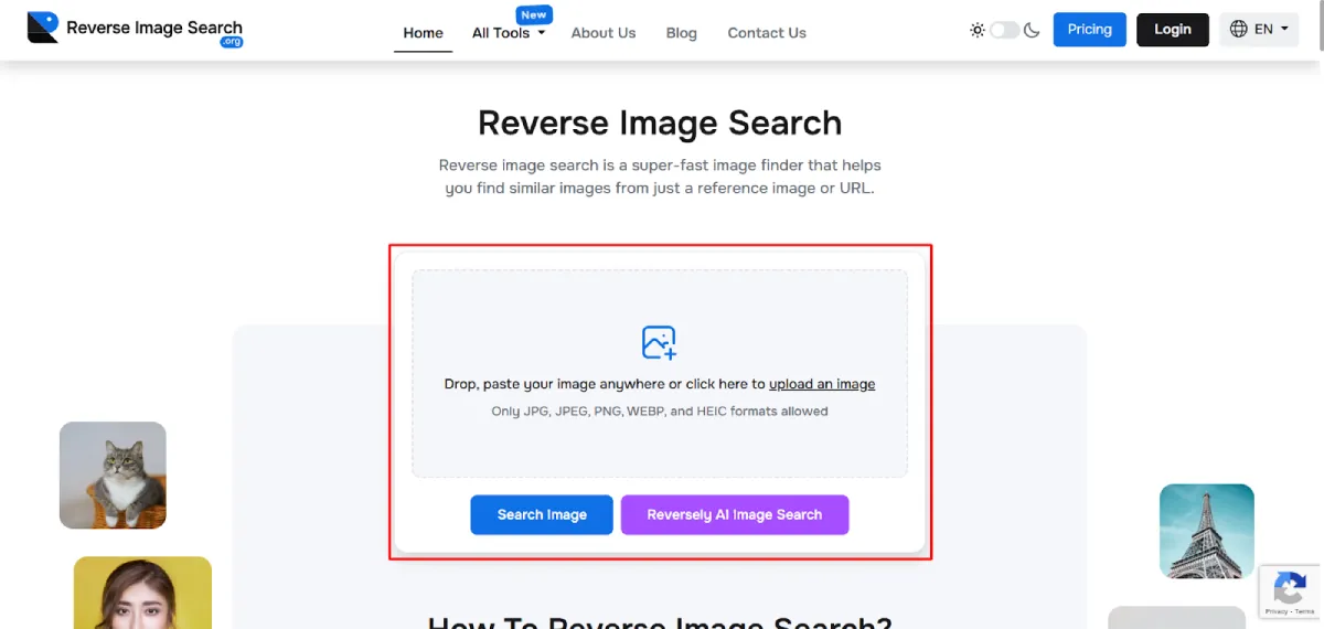 Input The Picture You Selected