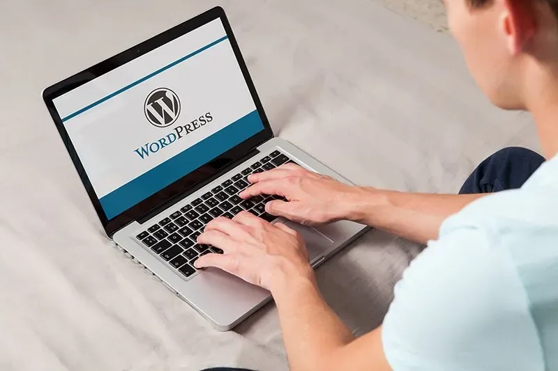 WordPress: Smart Business Web Platform