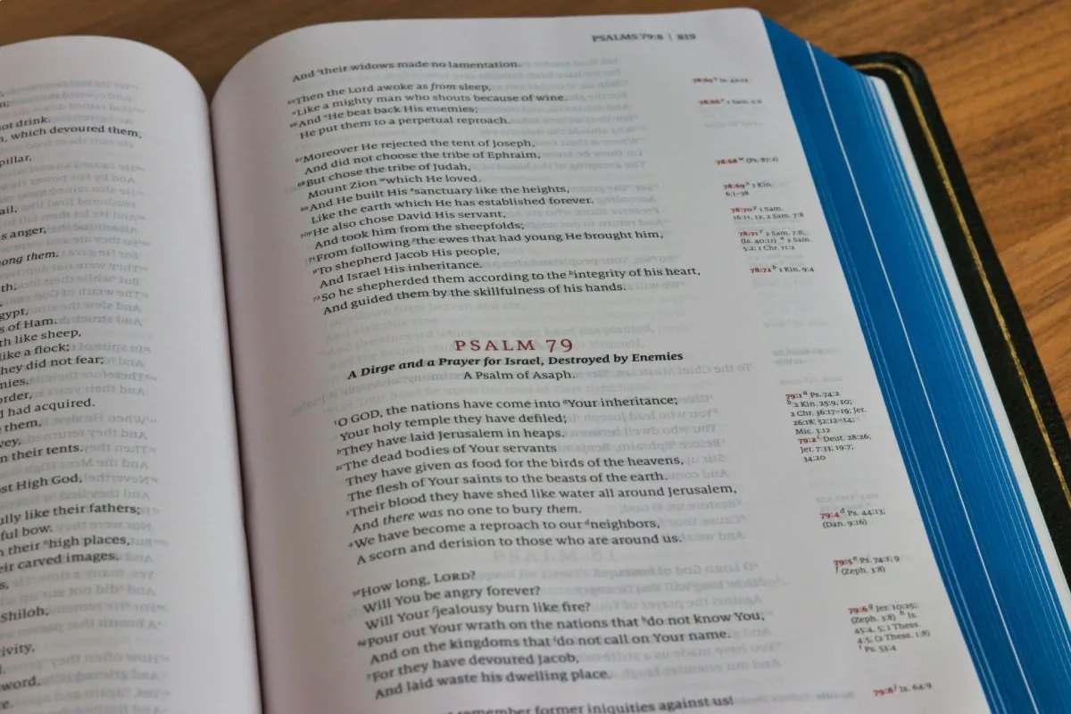 Design And Accessibility Essentials For High-Quality Worksheets