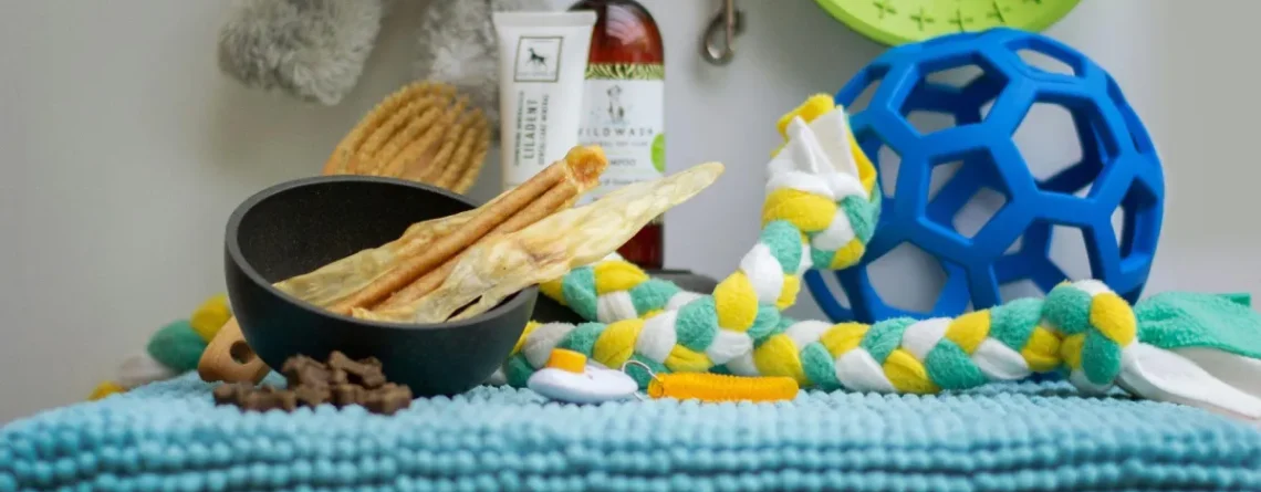 Why Sustainable Home Essentials Are Gaining Mainstream Attention