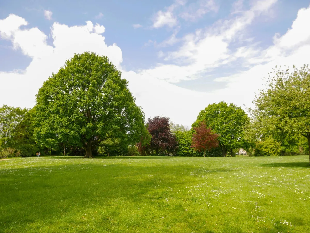 Tailgate-Ready Infrastructure Without Ruining The Grass