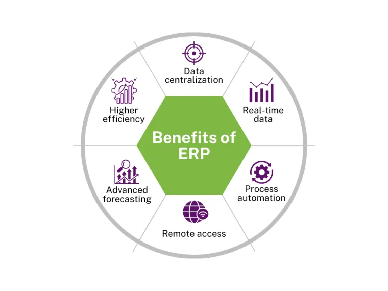 Advantages of Working with an ERP Software Development Company