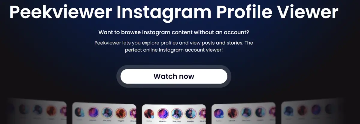 Use a Purpose-Built Instagram Profile Viewer