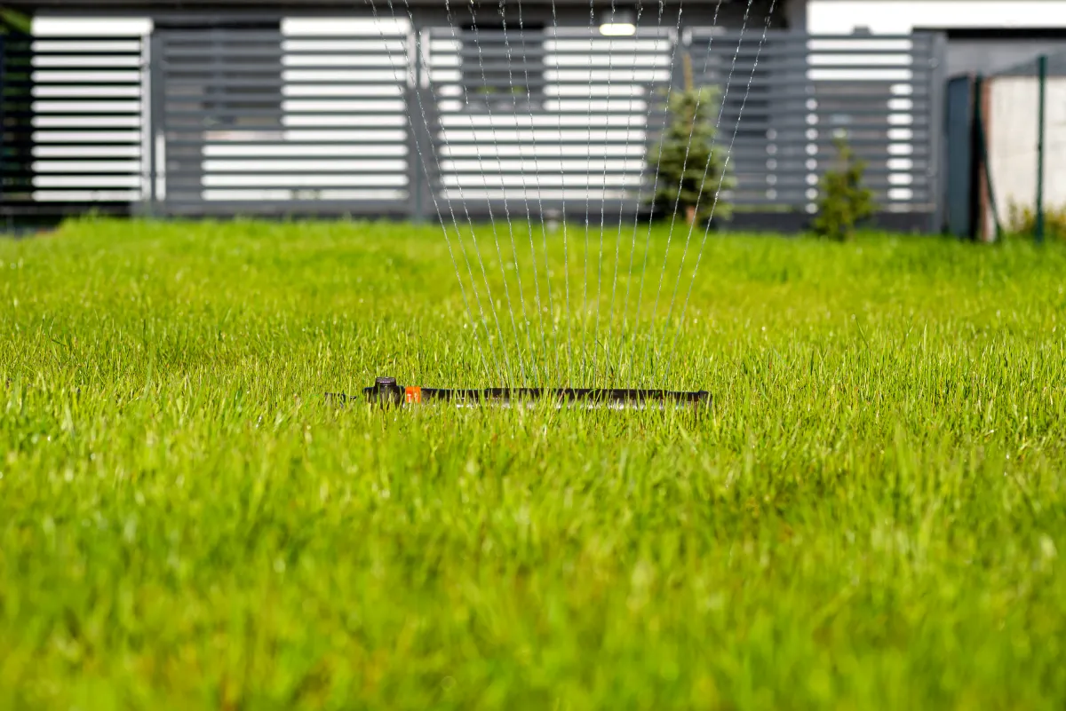 Clumpy Grass: How Should You Keep Your Commercial Property’s Lawn Safe?