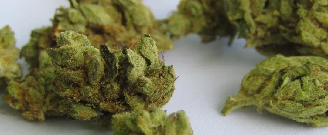 Eco-Friendly Packaging Trends for Cannabis Concentrates